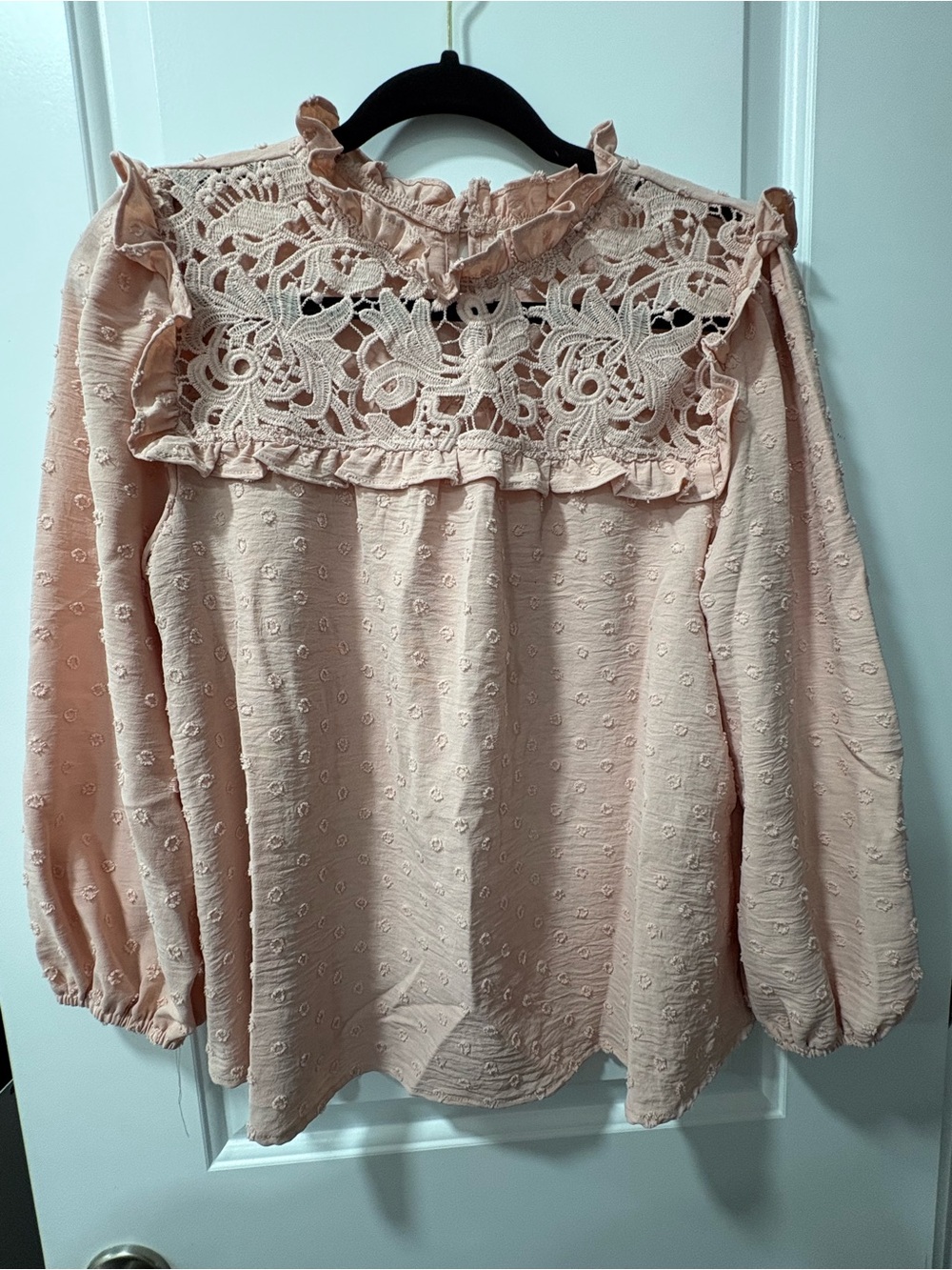 Blush Pink Lace Yoke Long-Sleeve Blouse